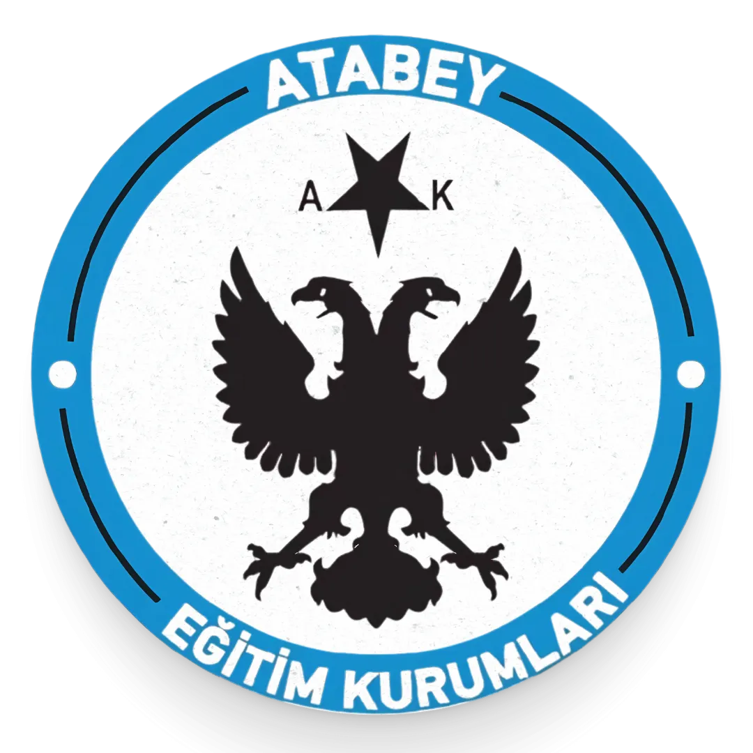 Türkiye Eğitim Sisteminde Birebir Takibin Önemi